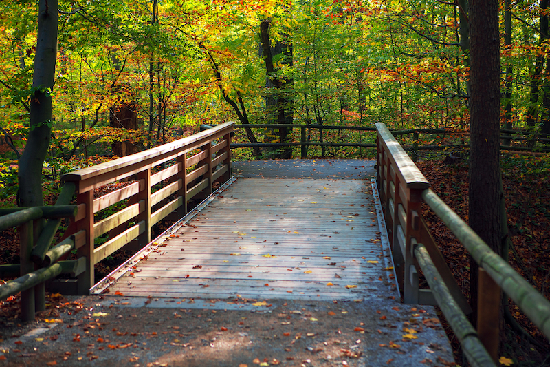 Wooden-footbridge-on-trail-in-washington-state