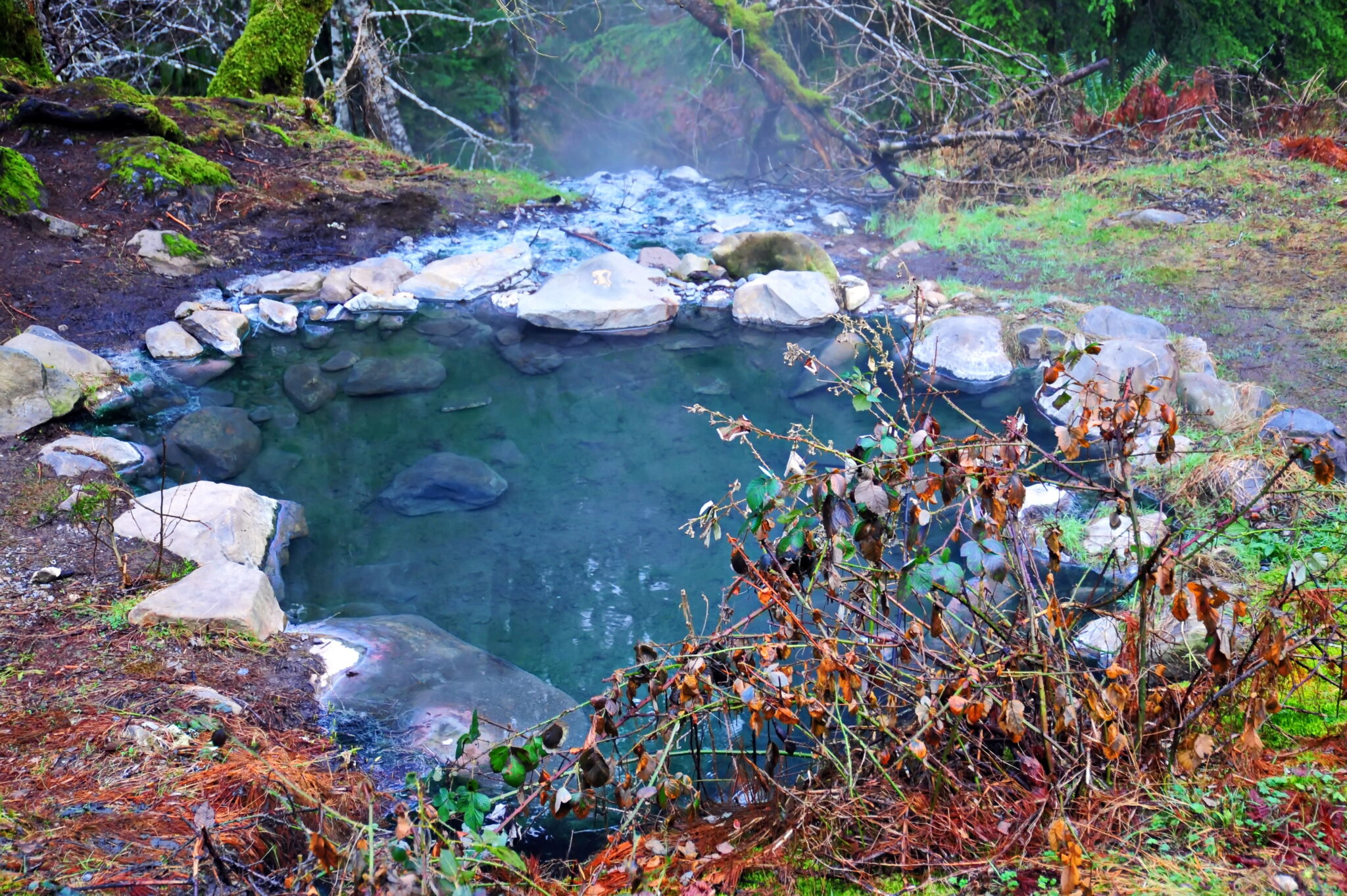 Washington-hot-spring-in-Olympic-National-Park
