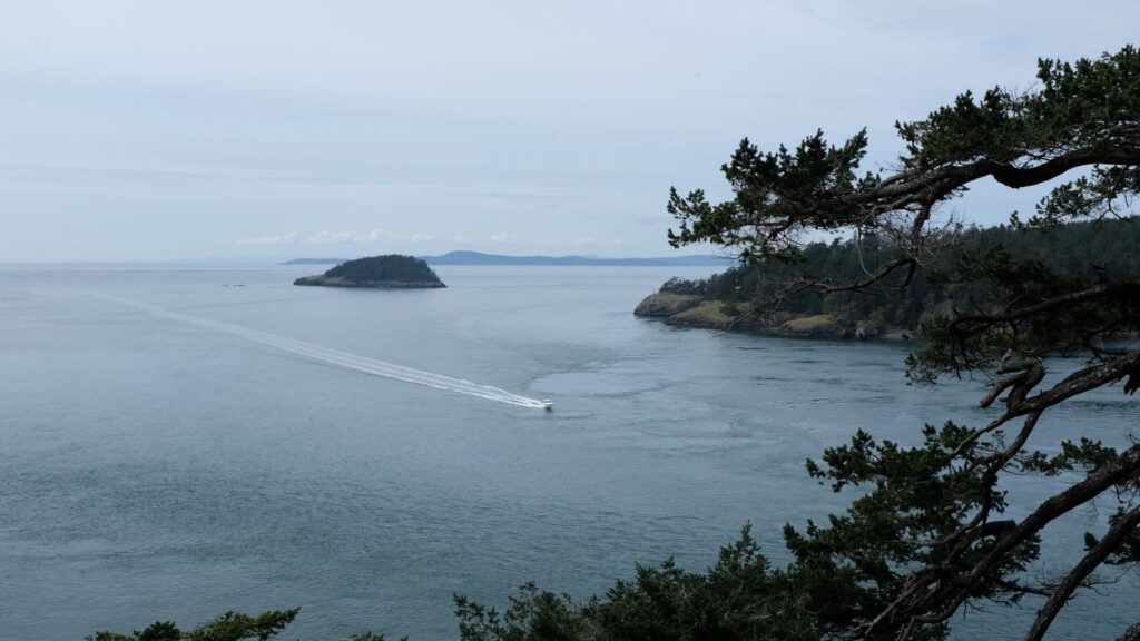 Everything You Need to Know About Getting to the San Juan Islands