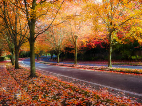 Fall-In-Washington