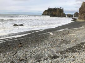 Ruby Beach, pebble shore with white foamy waves lapping the shore and light blue sky at dusk