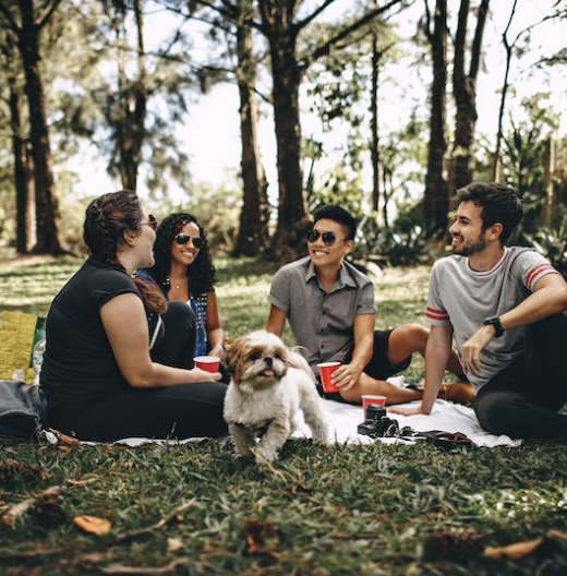 Washington's best picnic areas for couples