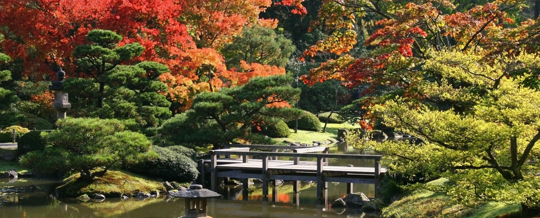 Arboretum,Seattle Japanese Garden at Washington Park