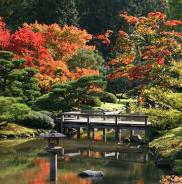 Arboretum,Seattle Japanese Garden at Washington Park