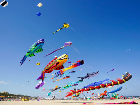 Kite Festival in Washington State
