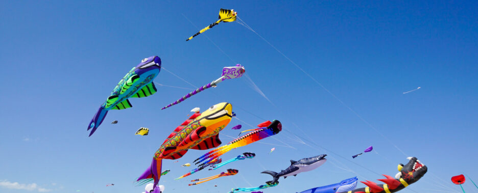 Kite Festival in Washington State
